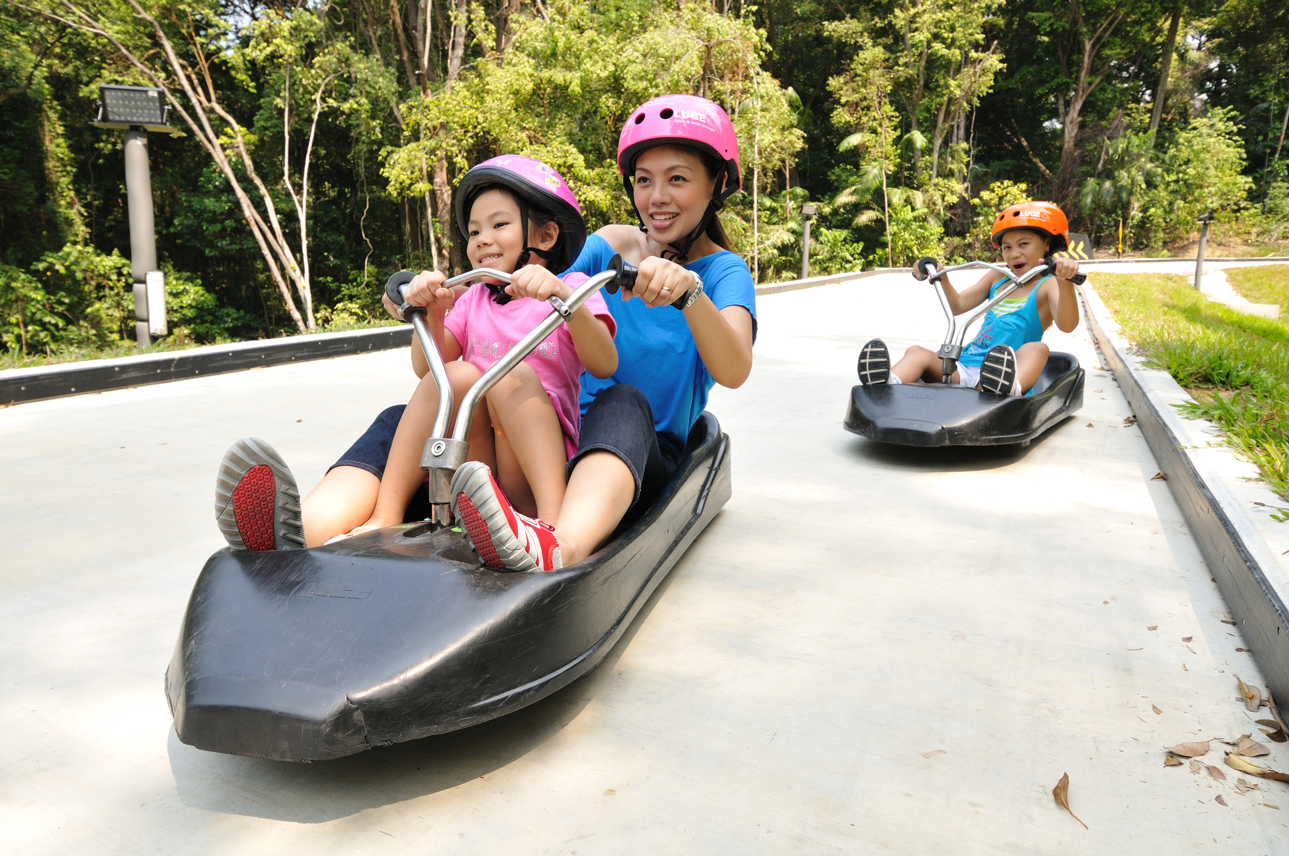 Image of Skyline Luge